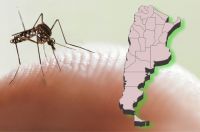 Preocupación por el brote histórico de dengue: hay 17 provincias en alerta sanitaria y casi 100 muertos