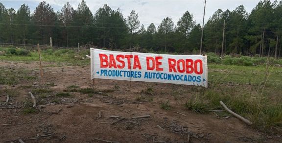 Productores siguen pidiendo intervención de la justicia ante hechos de cuatrerismo