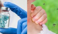 Confirmado: la nueva vacuna contra el chikungunya fue comprobada exitosamente 