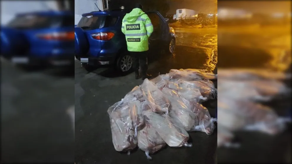 Atraparon a un roquense que trasladaba carne sin autorización y que había evadido el control policial
