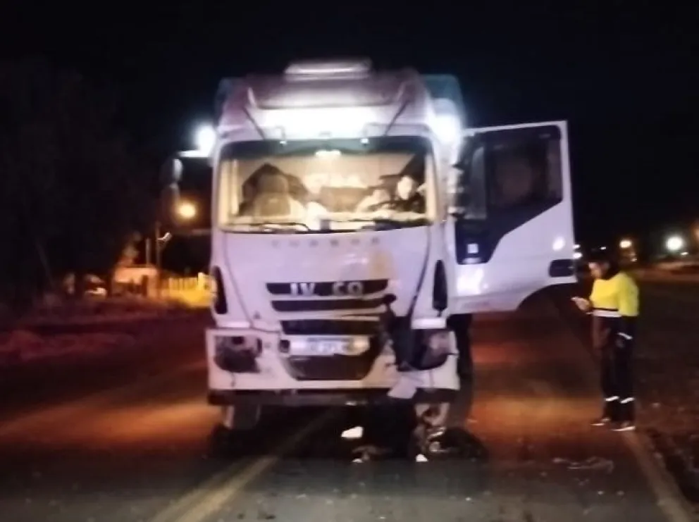 Un camión se topó con un equino en ruta 226, a escasos metros del acceso a Bolívar