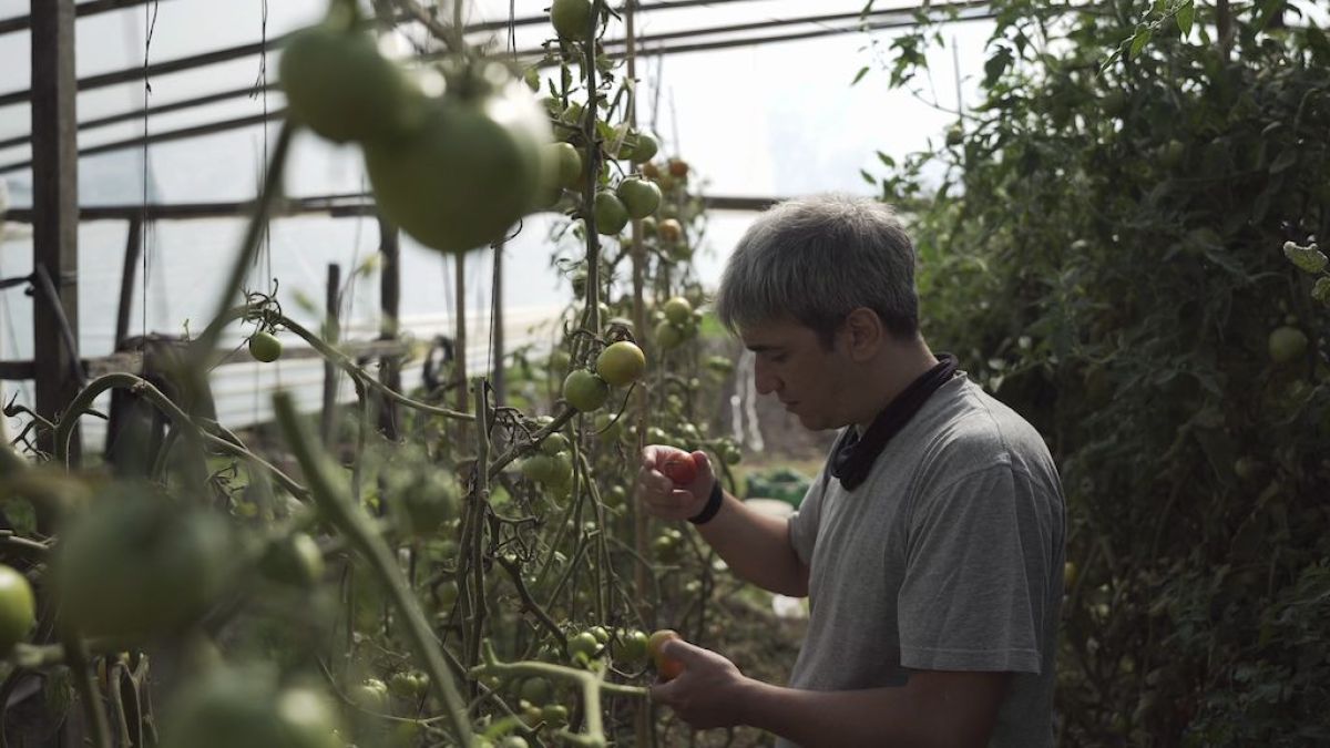 Se estrena “Lo que no engorda mata” una serie documental sobre lo que comemos