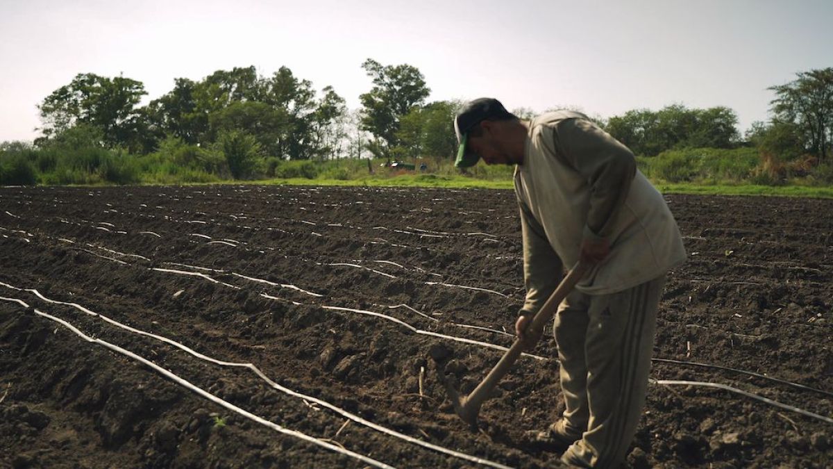 Se estrena “Lo que no engorda mata” una serie documental sobre lo que comemos
