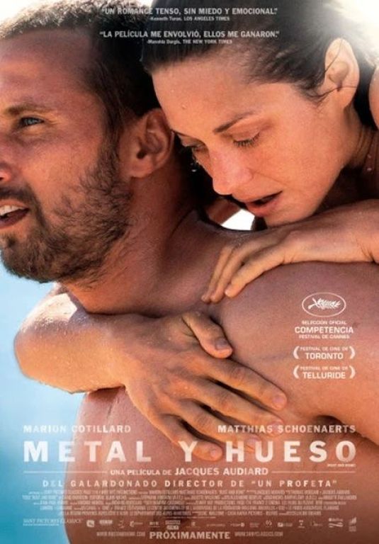 Crítica de "Metal y Hueso", el drama de superación de Jacques Audiard